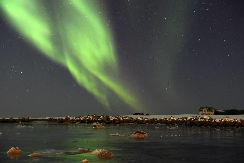 Borghildstua Feriehus Melbu Pokoj fotografie